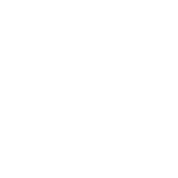github icon